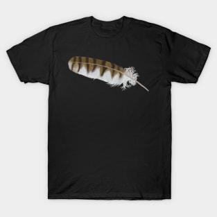 Barn Owl Feather T-Shirt